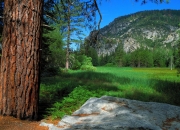 开云平台-佩德里状态火热，沙特生死战爆冷取胜荷兰改写世界杯格局