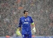 开云平台-广厦力克上海，哈利伯顿的证明之战，当团队胜利与个人光芒交相辉映