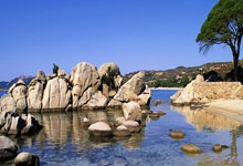 开云体育直播-马里制霸尼斯，拉亚成为关键先生，一场战术革命的胜利